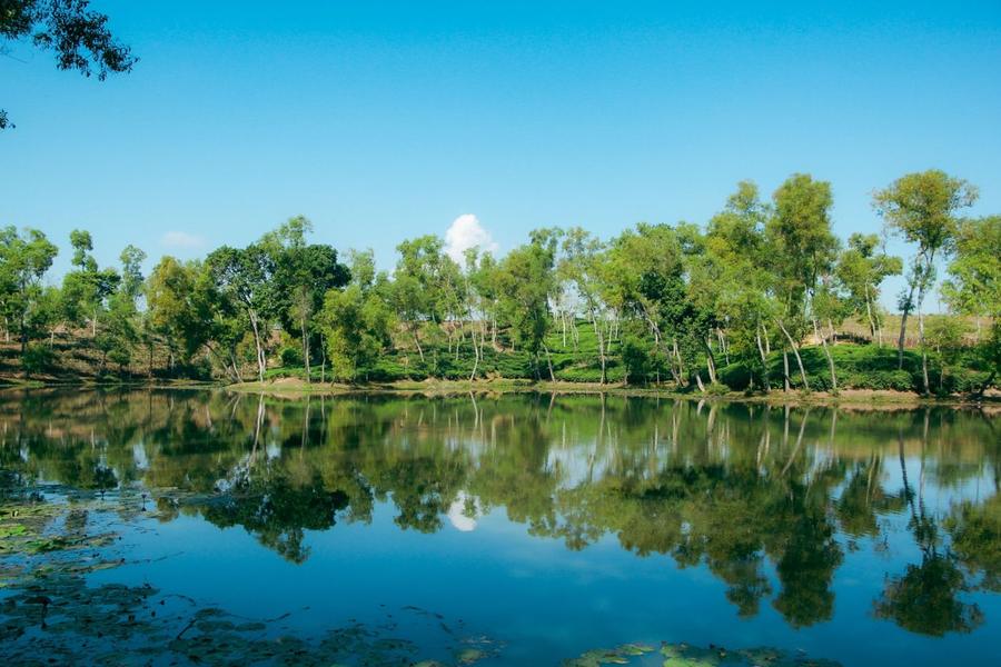 A calm lake beside tea hills