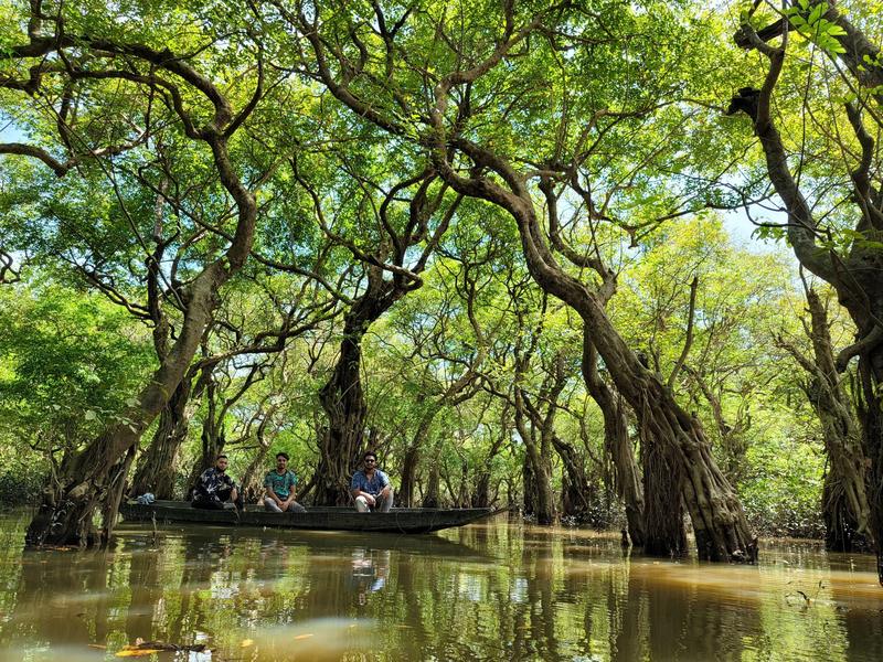 Boat among trees in Ratargul Swamp Forest